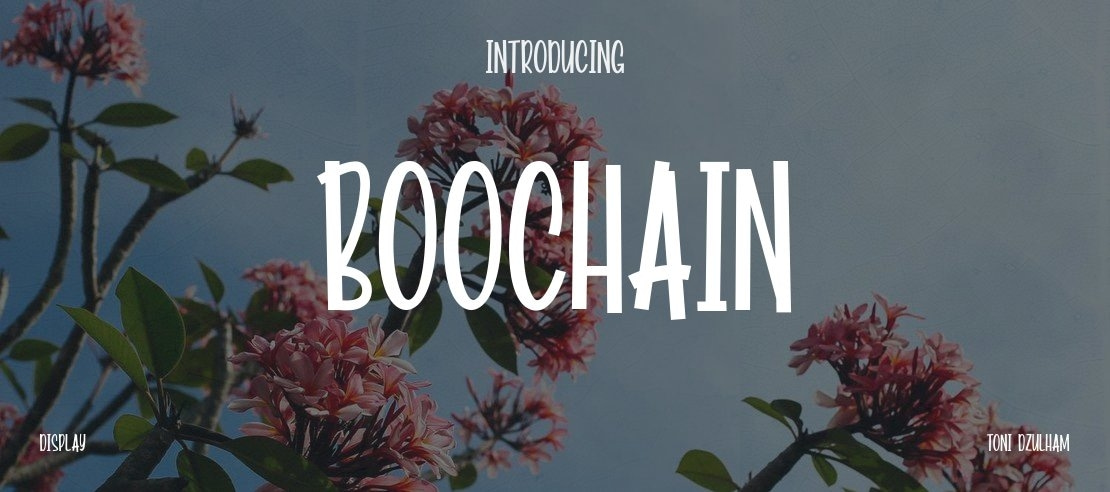 Boochain Font