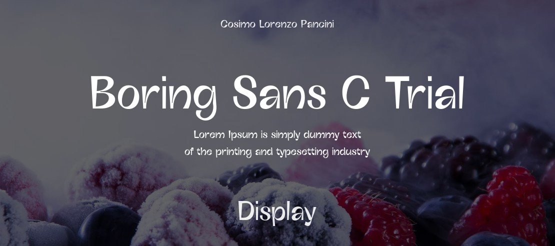 Boring Sans C Trial Font Family