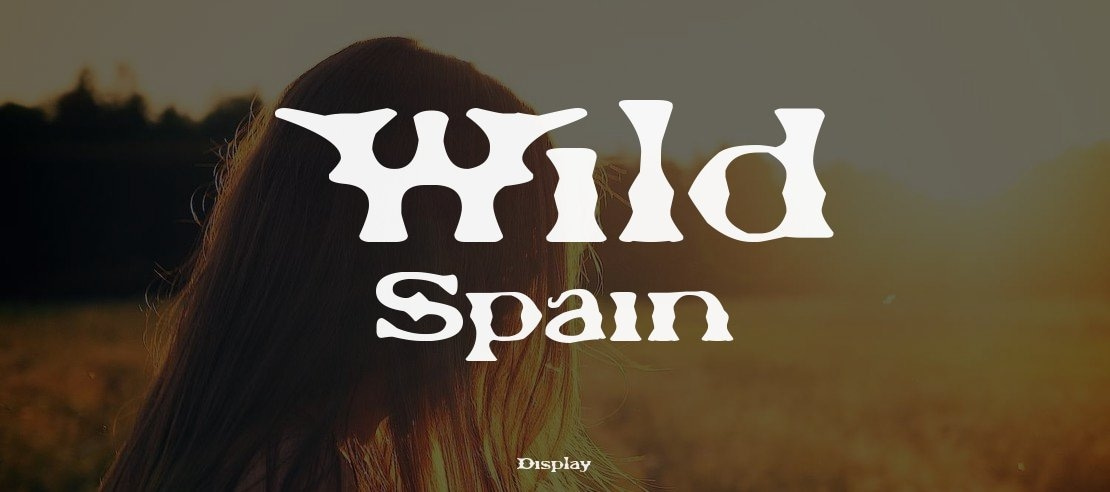 Wild Spain Font