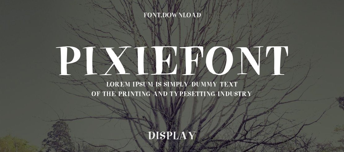 PixieFont Font