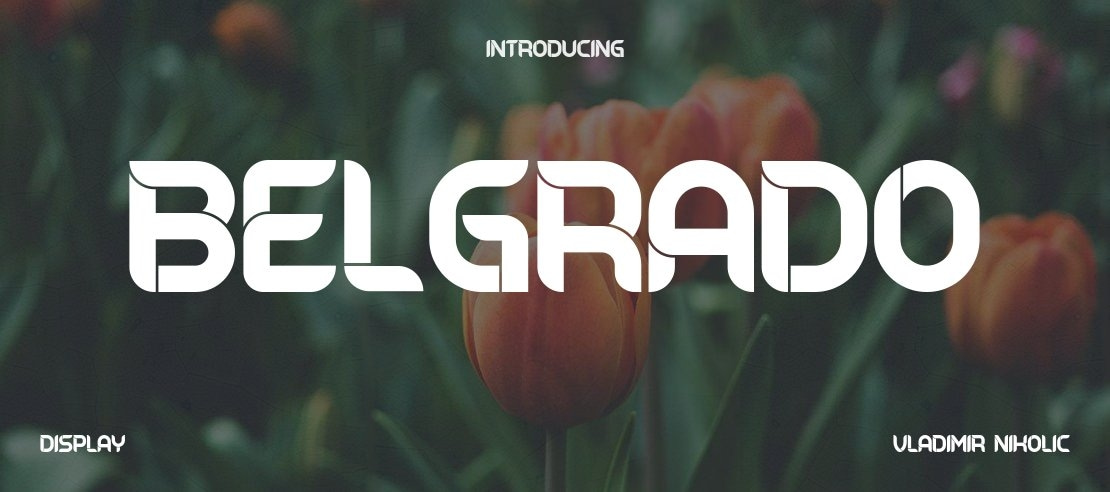 Belgrado Font Family