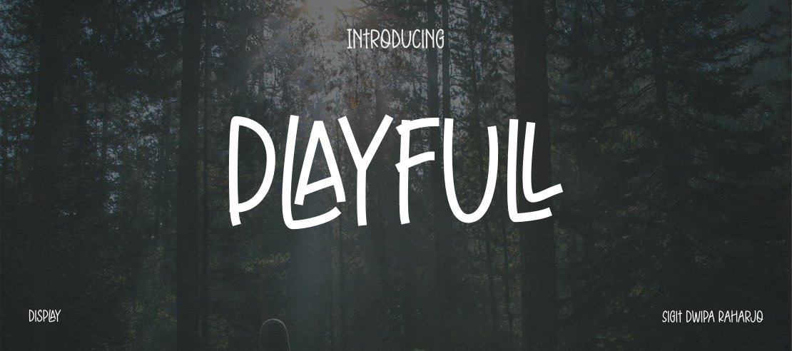 Playfull Font