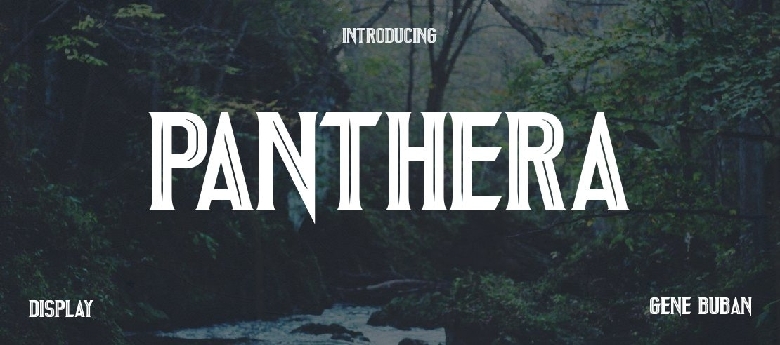 Panthera Font