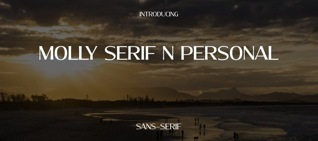 Molly Serif N PERSONAL Font Family