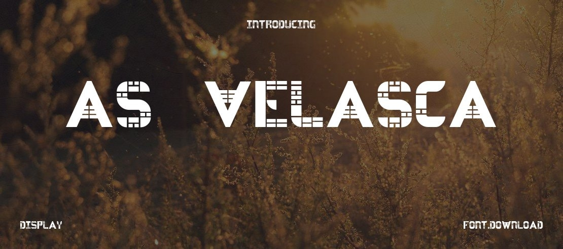 AS-VELASCA Font