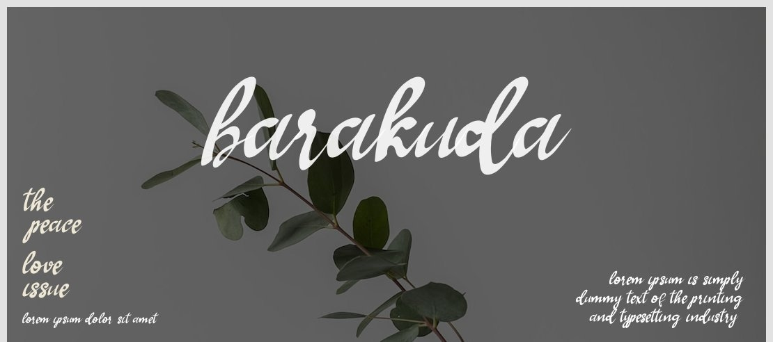 Barakuda Font