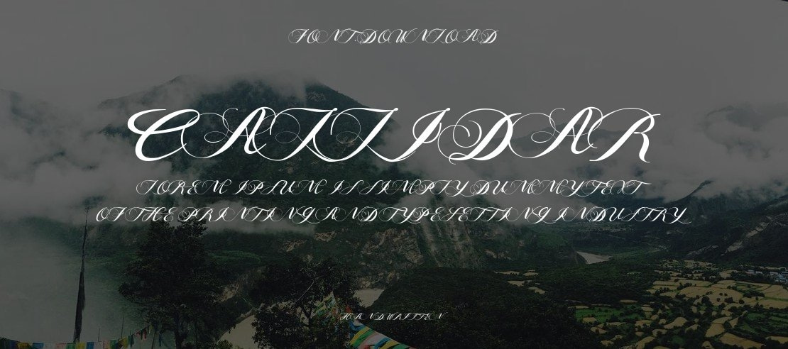 callidar Font