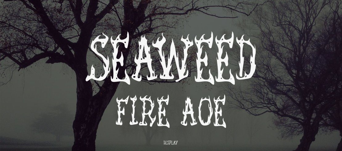 Seaweed Fire AOE Font