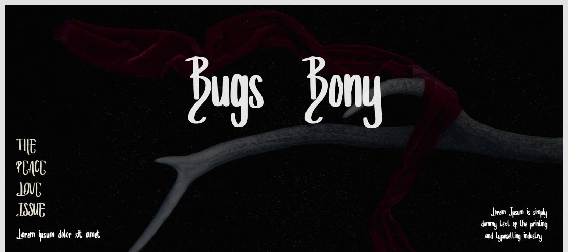 Bugs_Bony Font