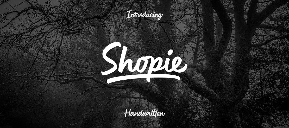 Shopie Font