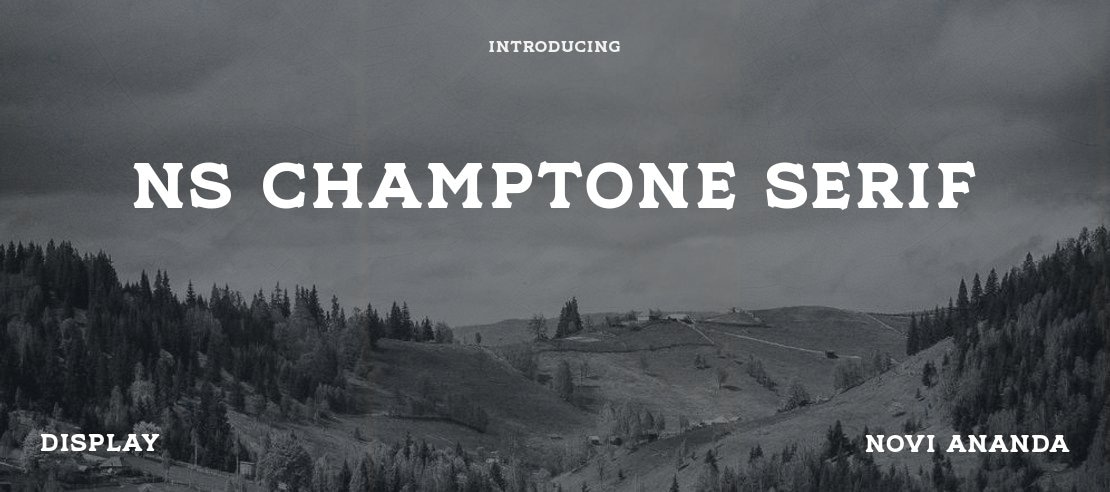 NS Champtone Serif Font