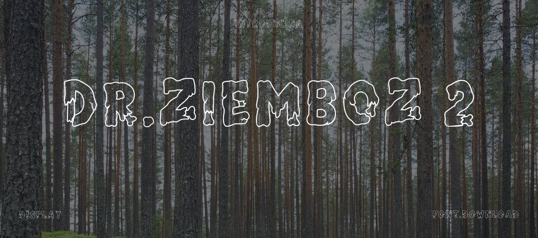 Dr.Ziemboz 2 Font Family