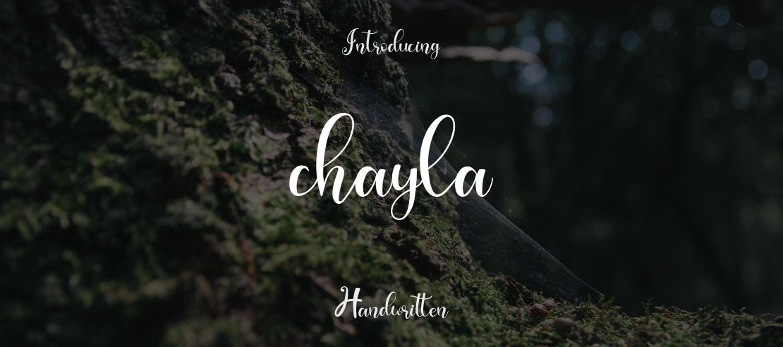 chayla Font