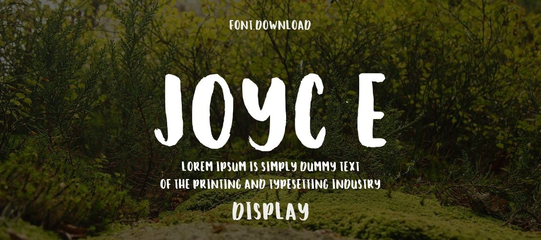 Joyce Font