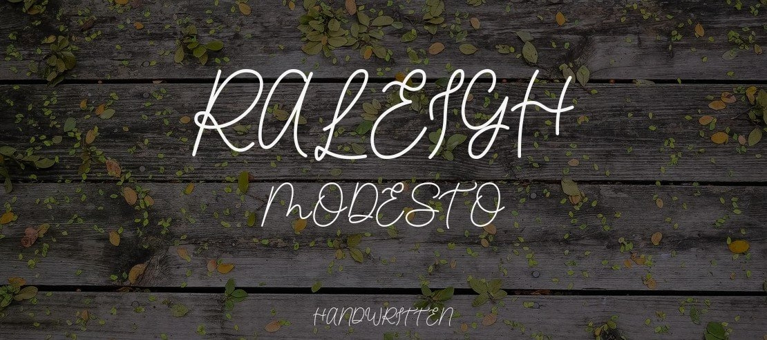 Raleigh Modesto Font