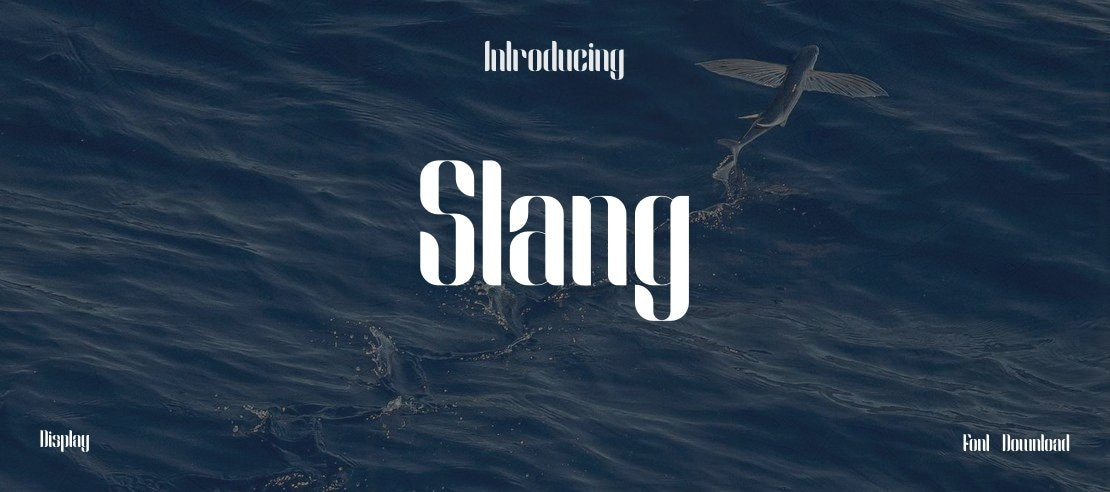 Slang Font