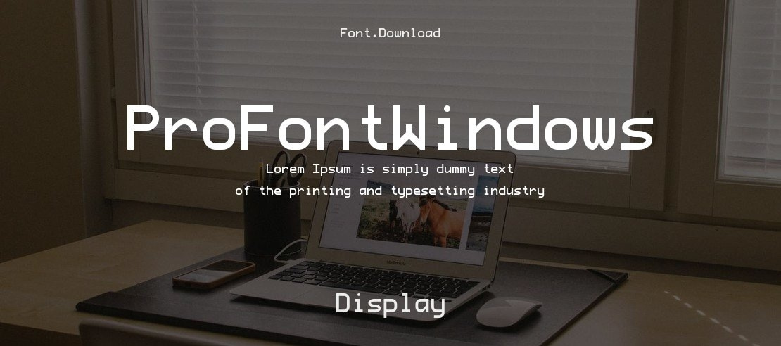 ProFontWindows Font