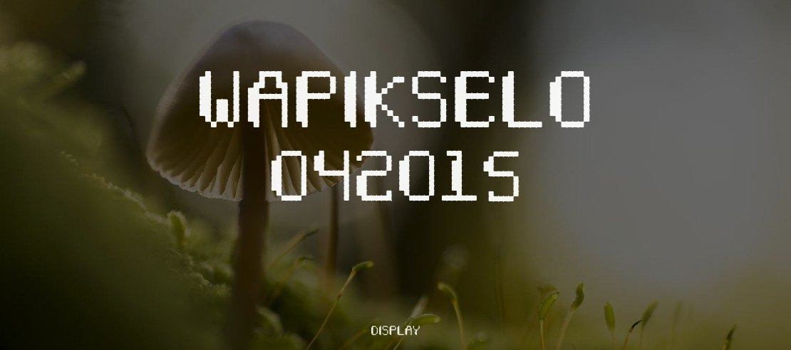 Wapikselo 042015 Font