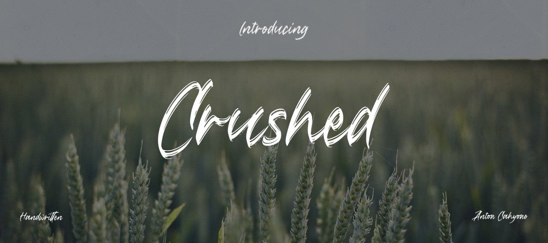 Crushed Font