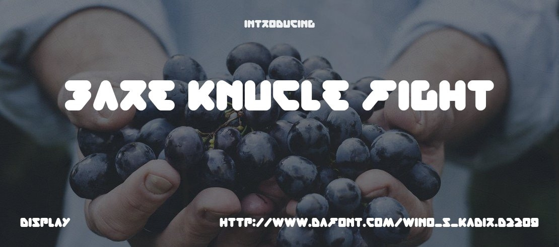 Bare Knucle Fight Font