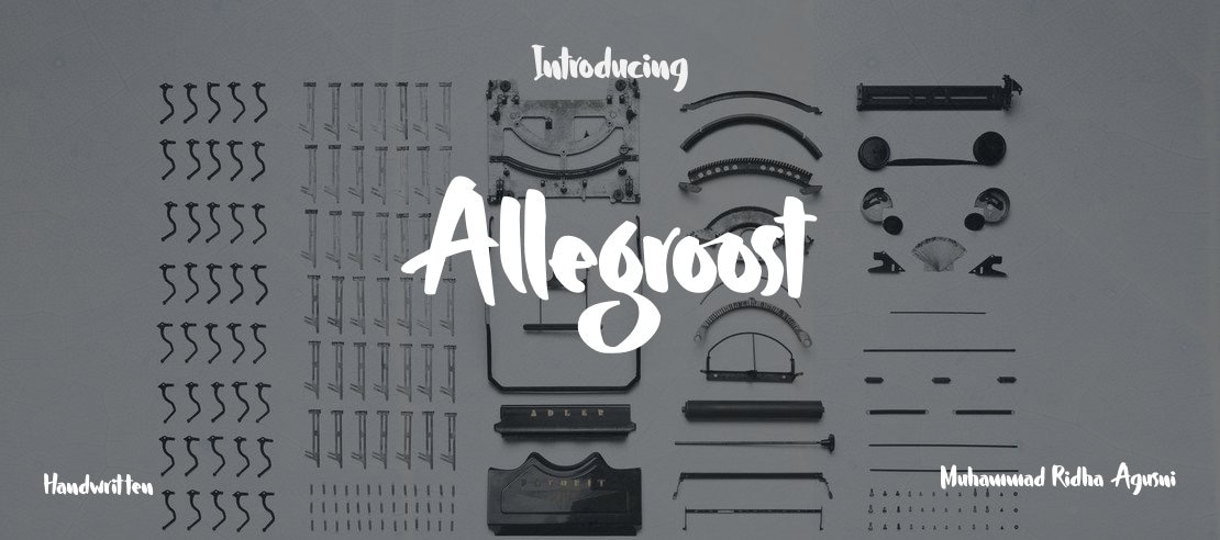 Allegroost Font