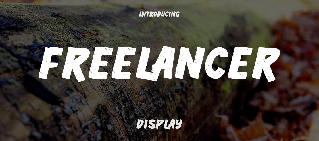 Freelancer Font