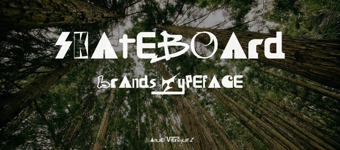 Skateboard Brands Font