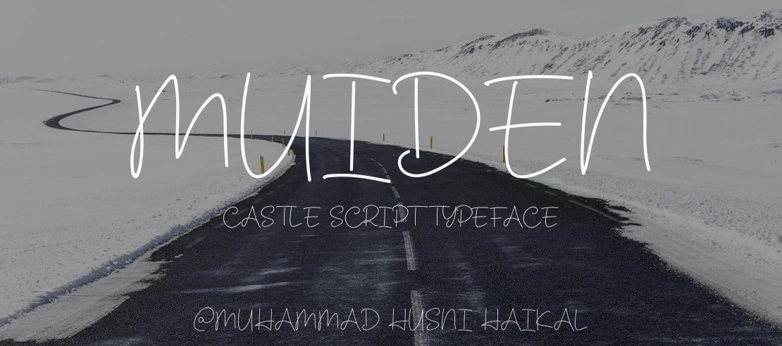 Muiden Castle Script Font