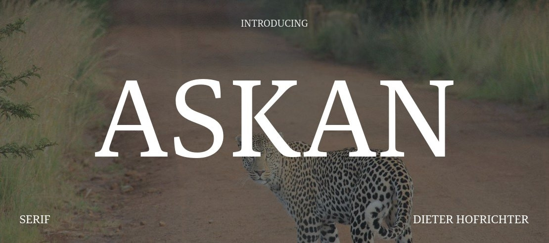 Askan Font Family