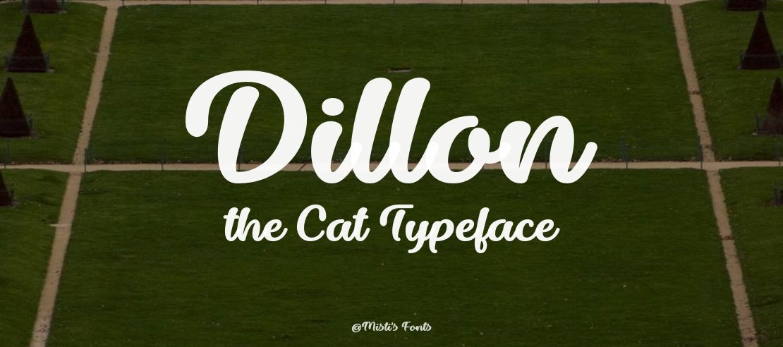 Dillon the Cat Font