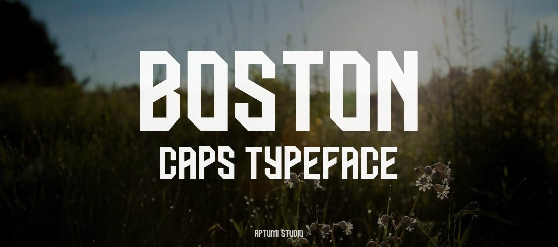 BOSTON CAPS Font