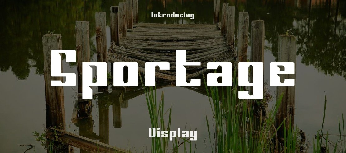 Sportage Font Family