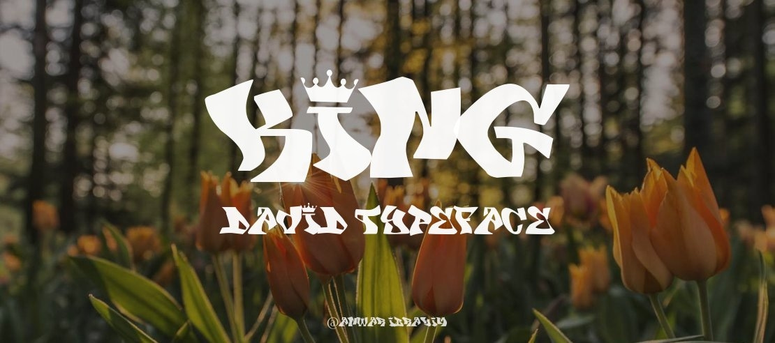 KING DAVID Font