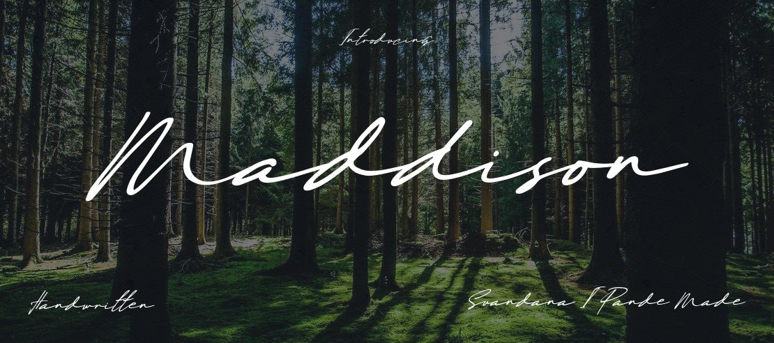 Maddison Font