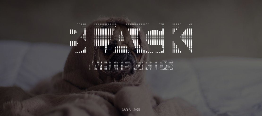 Black White Grids Font Family