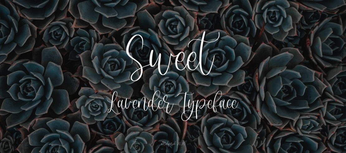 Sweet Lavender Font