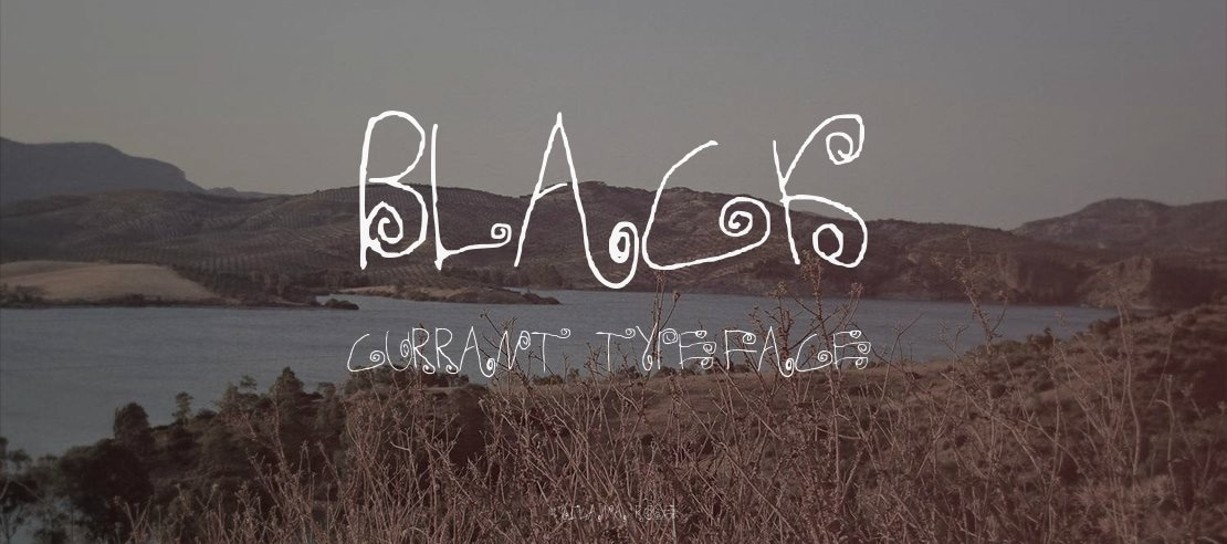 Black Currant Font