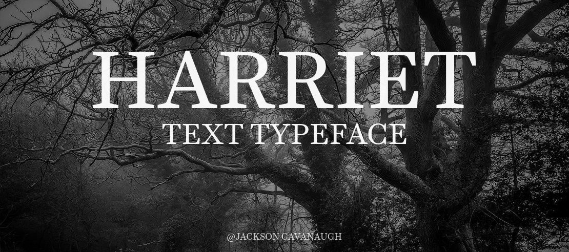 Harriet Text Font Family