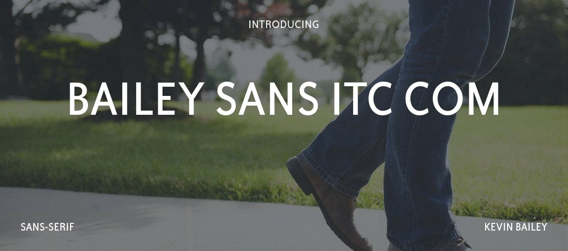 Bailey Sans ITC Com Font Family