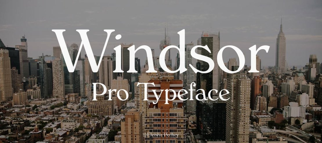 Windsor Pro Font Family