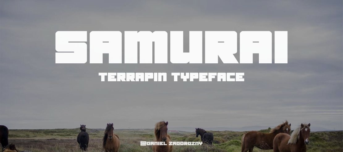Samurai Terrapin Font Family