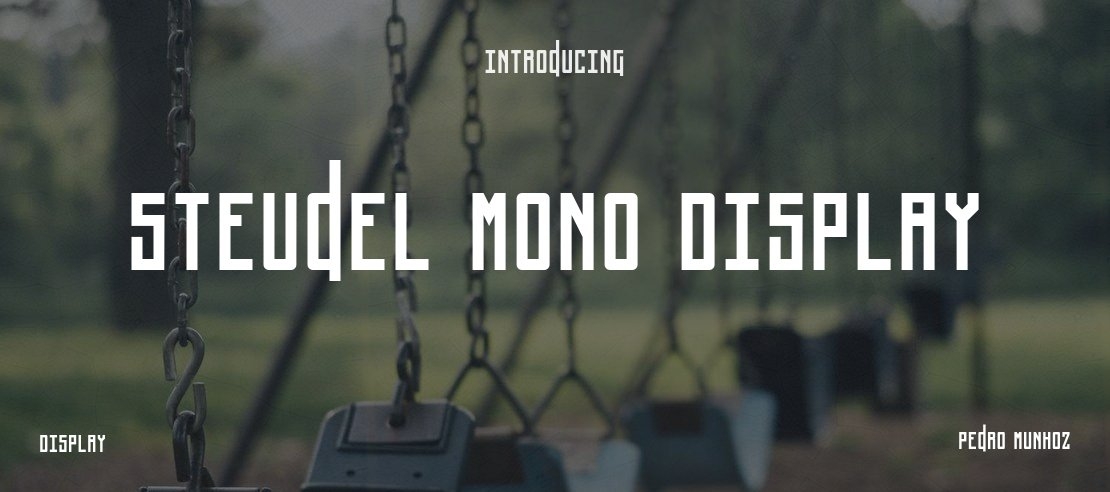 Steudel Mono Display Font