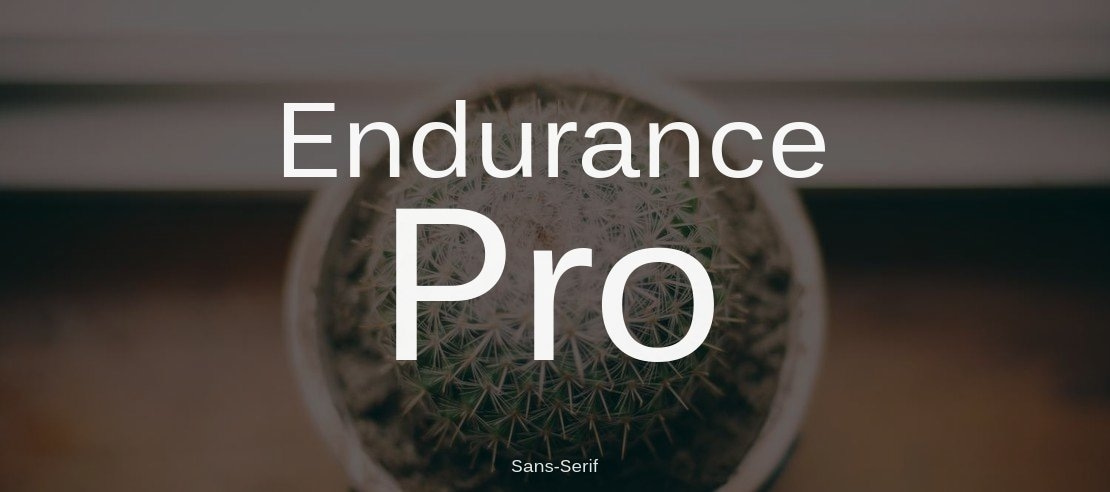 Endurance Pro Font Family