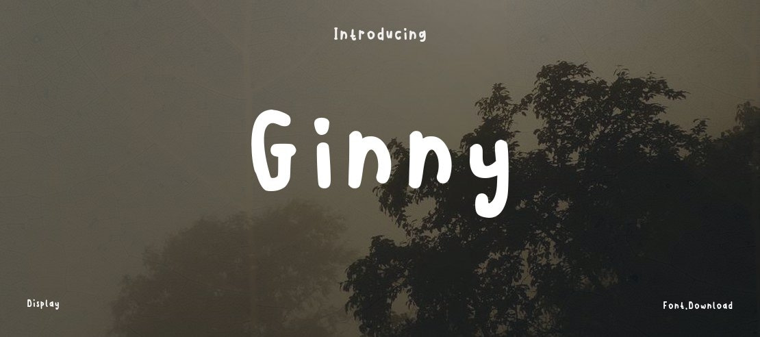 Ginny Font