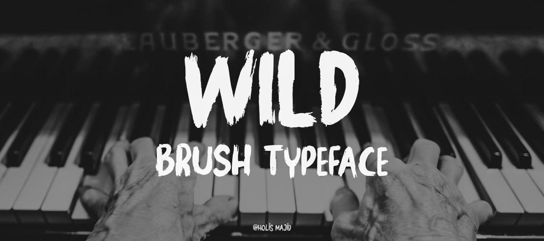 WILD BRUSH Font