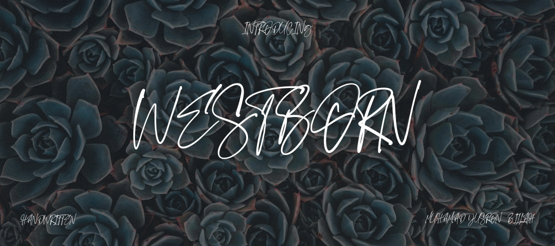 westborn Font