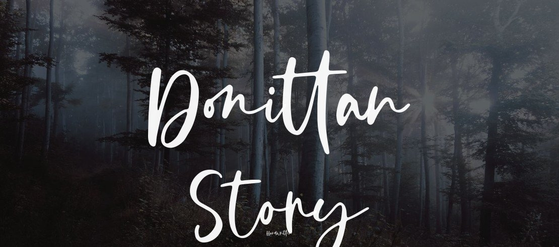 Donittan Story Font