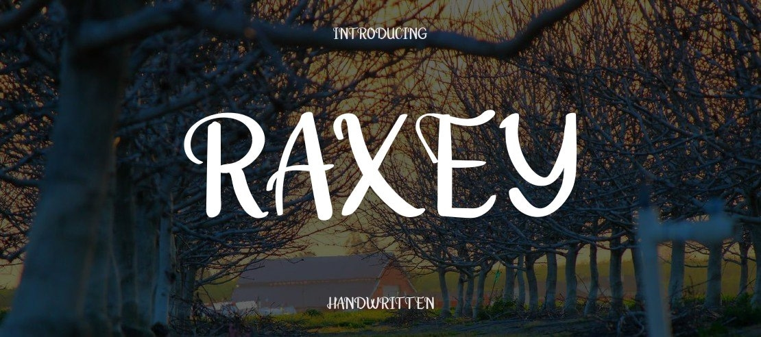 Raxey Font Family