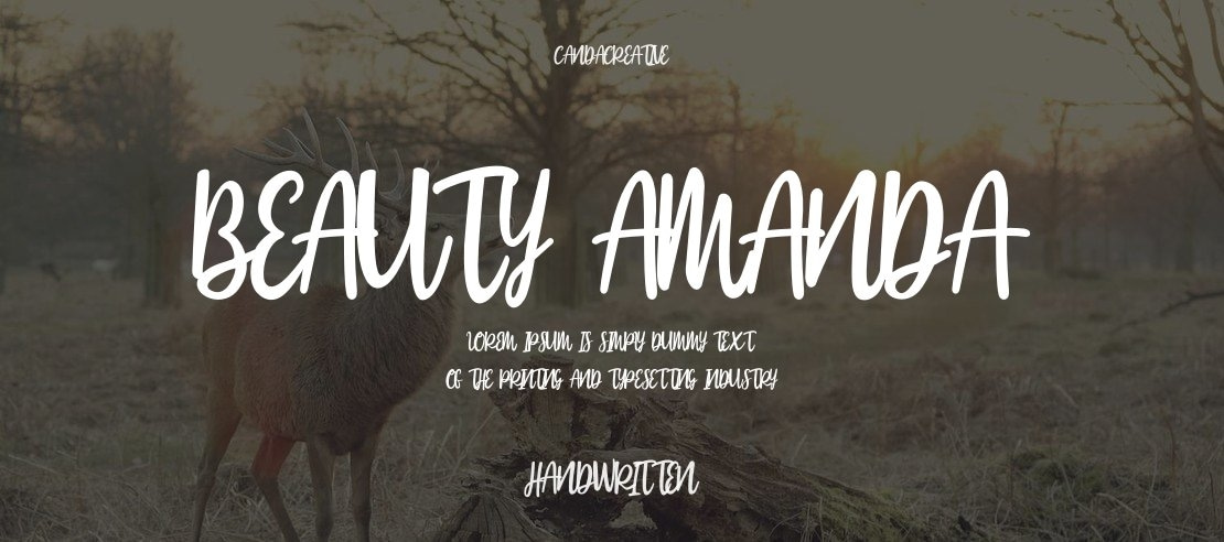 Beauty Amanda Font