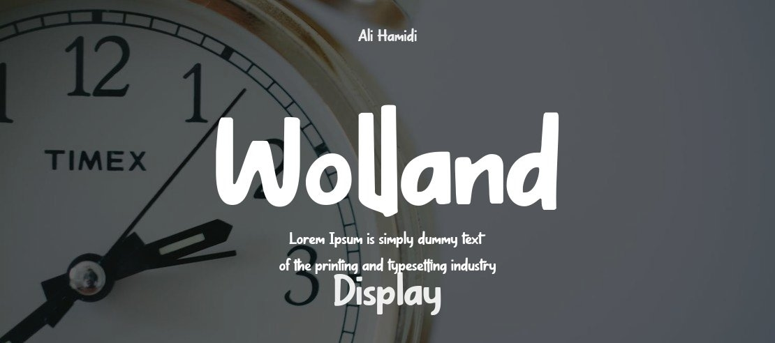 Wolland Font